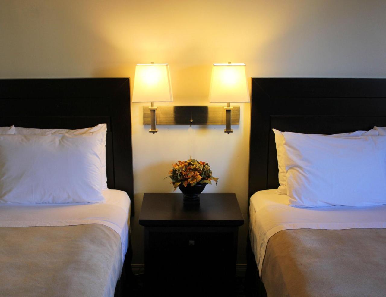 פרינס אלברט Coronet Hotel מראה חיצוני תמונה